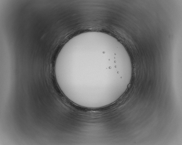 X0000111820748200908201130