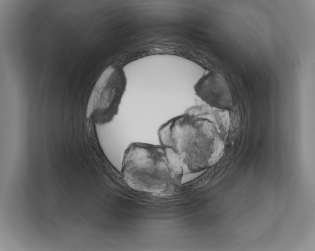 X0000111820749200908201130