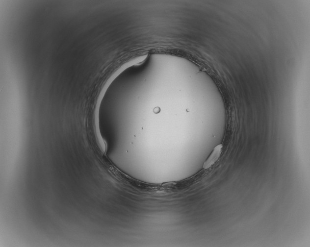 X0000111820750200908201130
