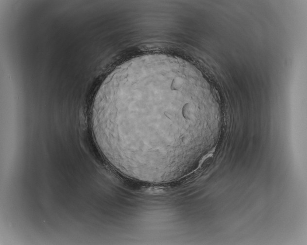 X0000111820751200908201130