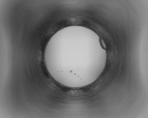 X0000111820752200908201130