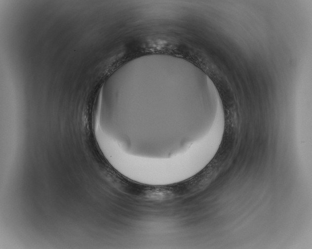 X0000111820754200908201130