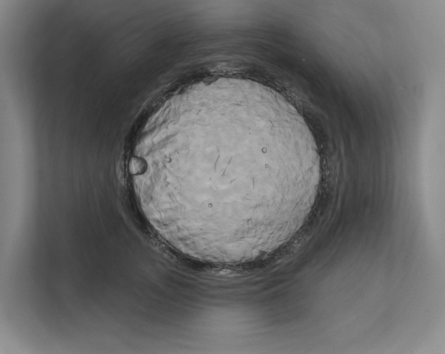 X0000111820755200908201130