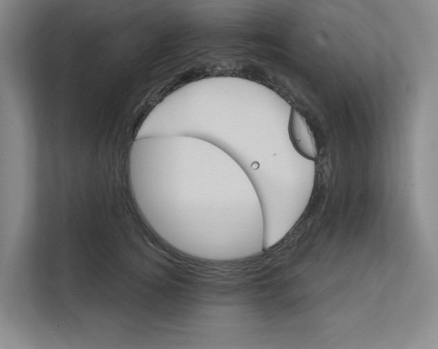 X0000111820756200908201130