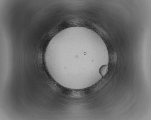 X0000111820757200908201130