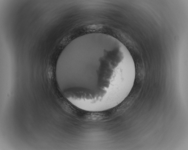 X0000111820758200908201130