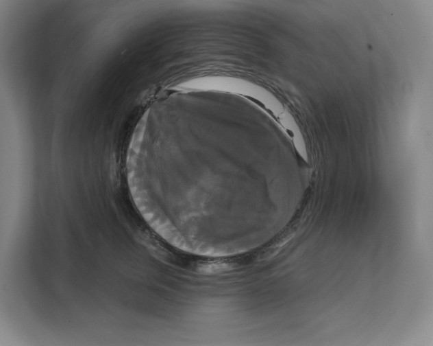 X0000111820759200908201130