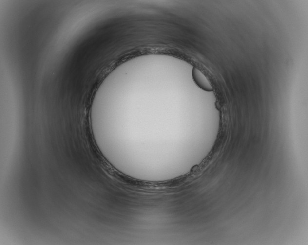 X0000111820760200908201130