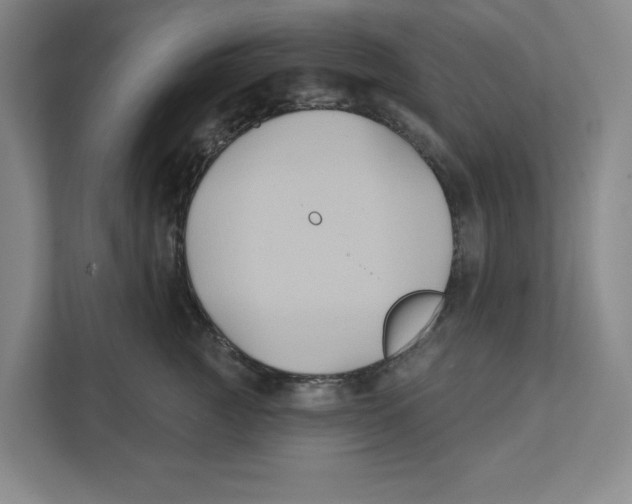 X0000111820761200908201130