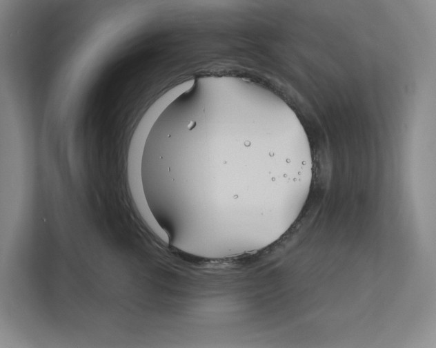 X0000111820762200908201130
