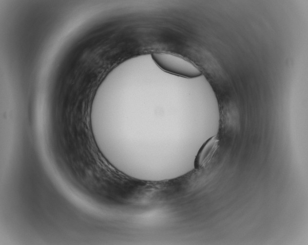 X0000111820764200908201130