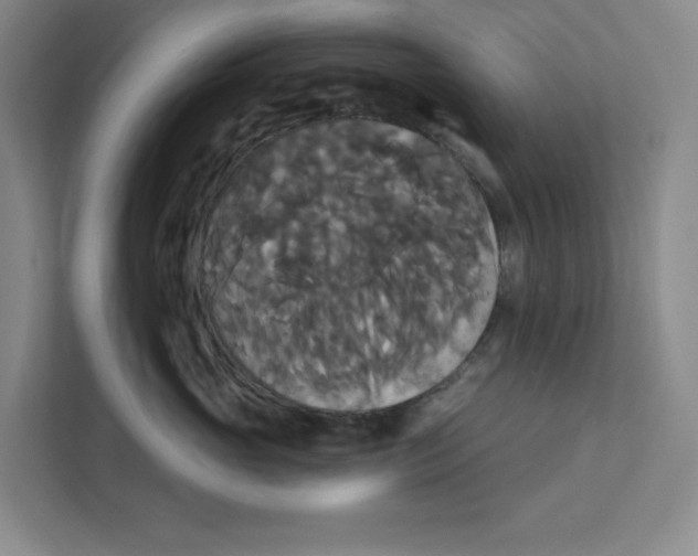 X0000111820765200908201130