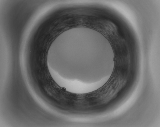 X0000111820766200908201130