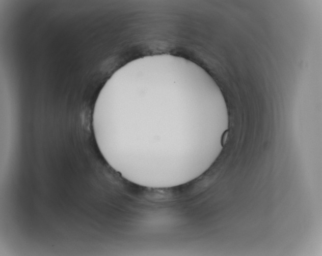 X0000111820768200908201130