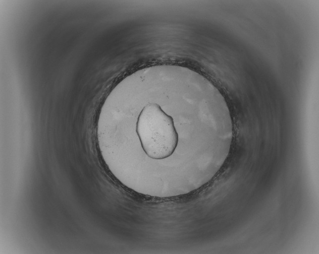 X0000111820769200908201130