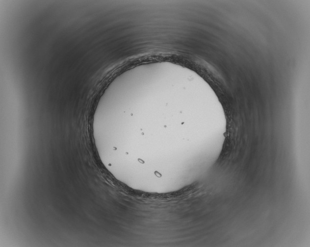X0000111820773200908201130