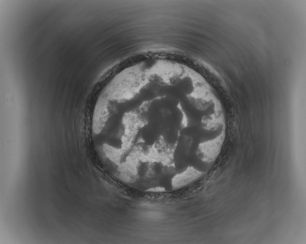 X0000111820775200908201130