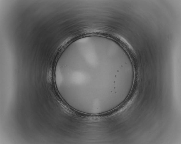X0000111820777200908201130