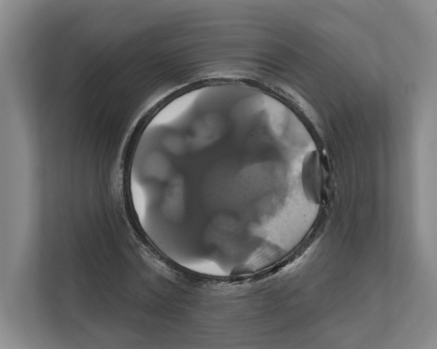 X0000111820779200908201130