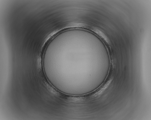 X0000111820781200908201130