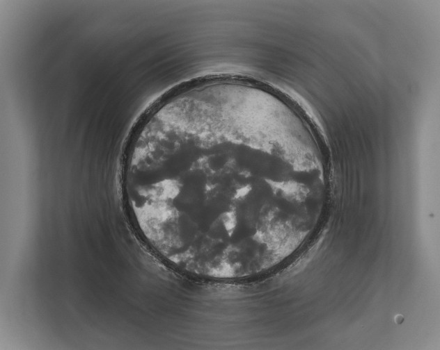 X0000111820783200908201130