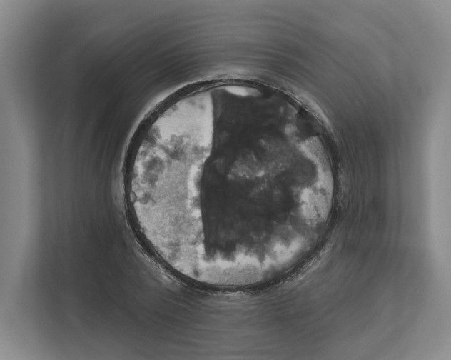 X0000111820784200908201130
