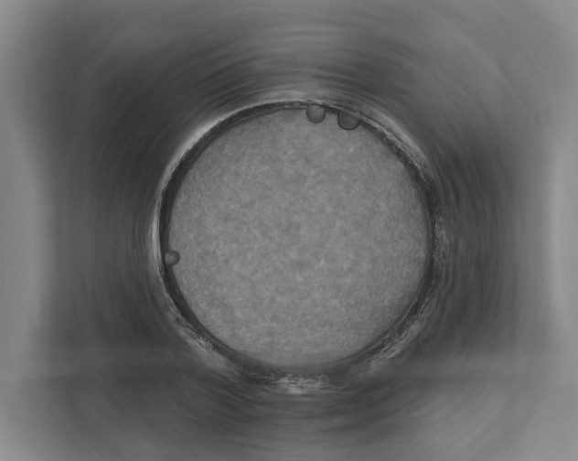 X0000111820788200908201130