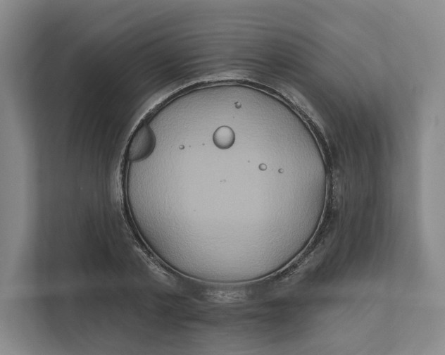 X0000111820789200908201130