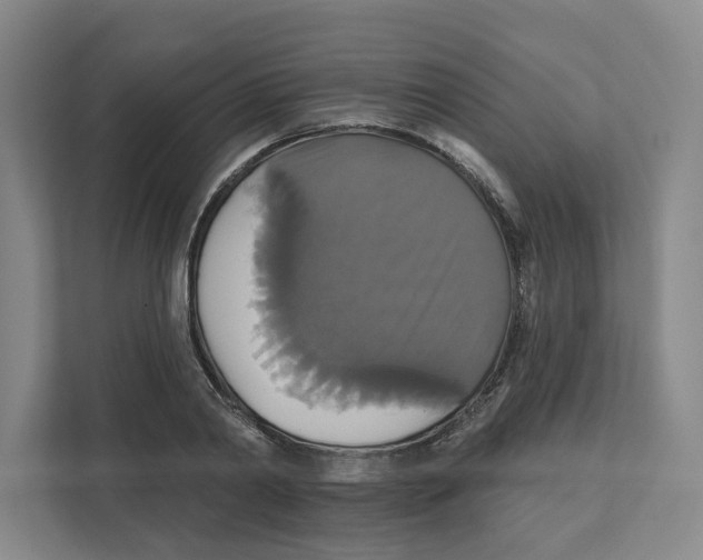 X0000111820790200908201130