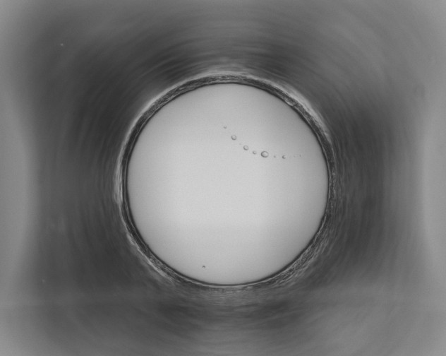 X0000111820791200908201130