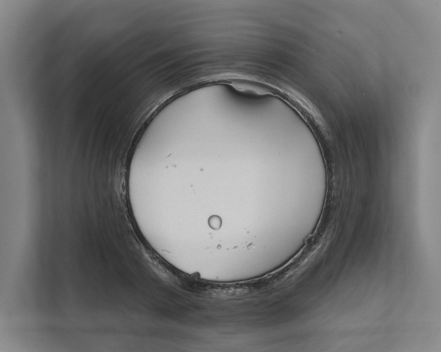 X0000111820793200908201130