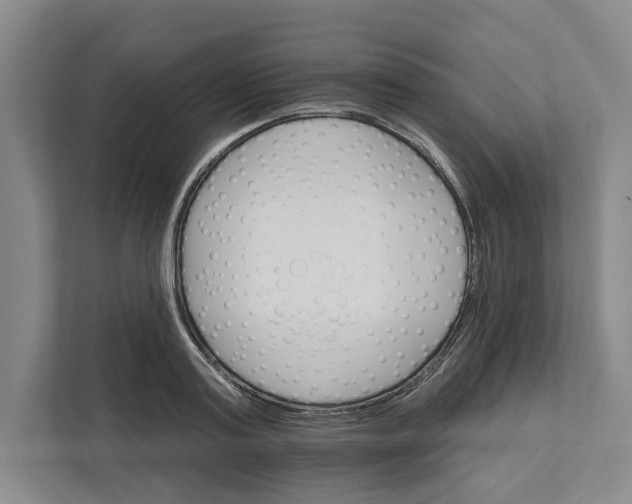 X0000111820795200908201130