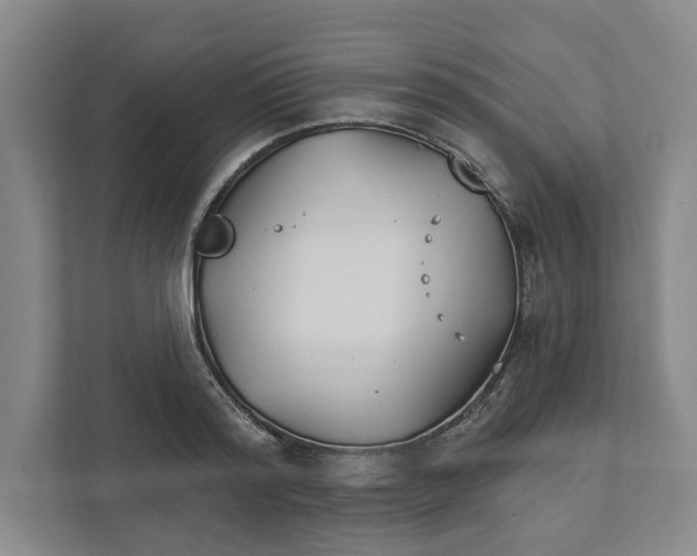 X0000111820796200908201129