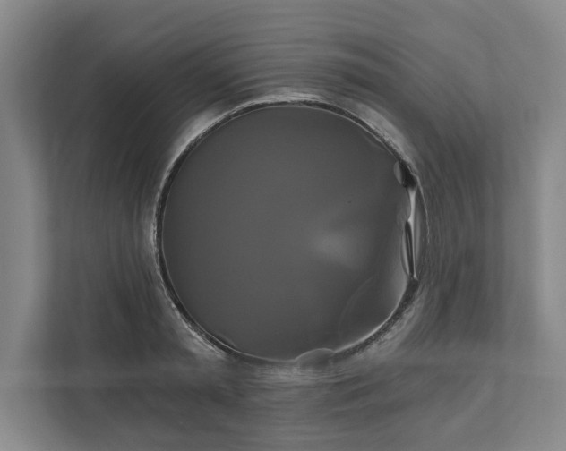 X0000111820797200908201129