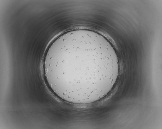 X0000111820798200908201129