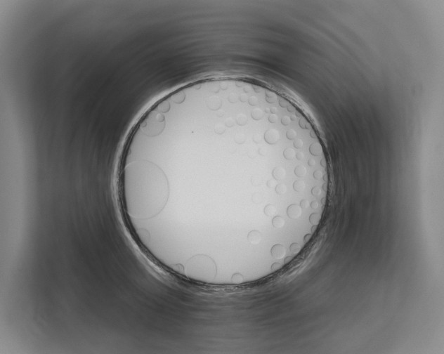 X0000111820803200908201129