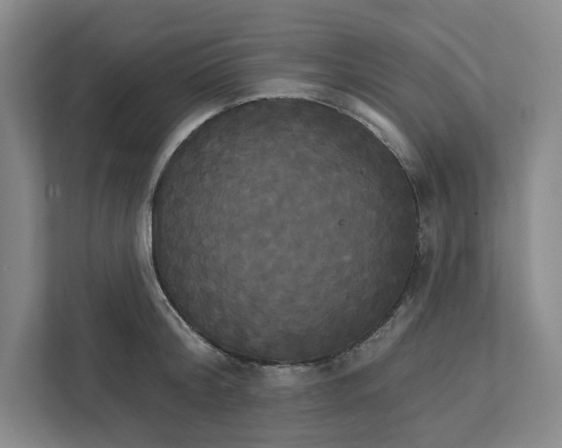 X0000111820804200908201129
