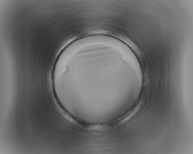 X0000111820806200908201129