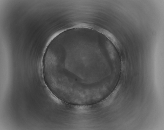 X0000111820808200908201129