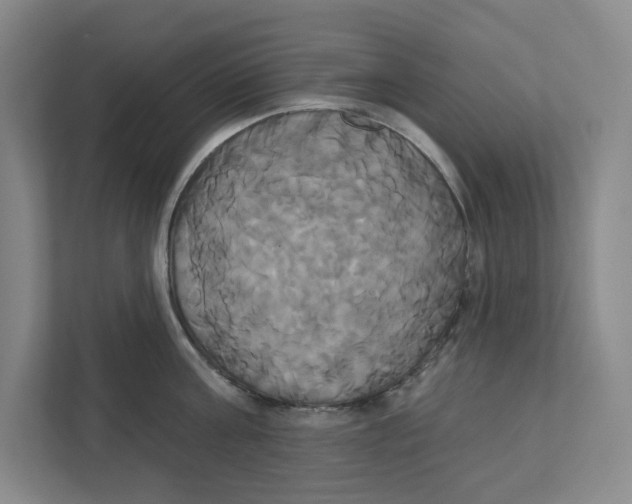 X0000111820811200908201129