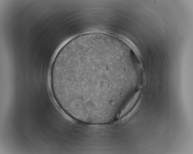 X0000111820812200908201129
