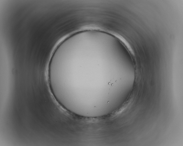 X0000111820815200908201129