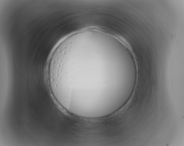 X0000111820816200908201129