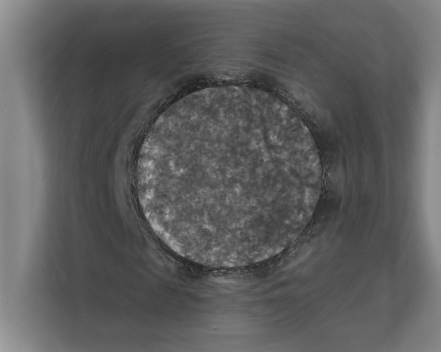 X0000111820817200908201129