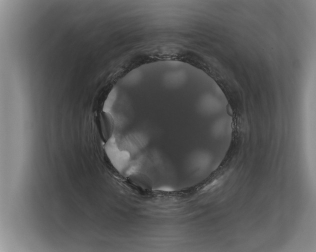 X0000111820818200908201129