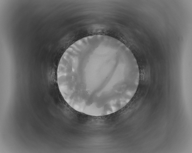X0000111820820200908201129