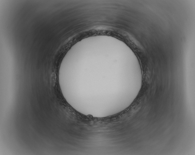 X0000111820821200908201129