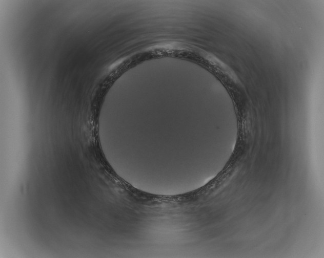 X0000111820822200908201129