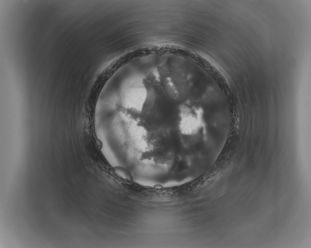 X0000111820823200908201129