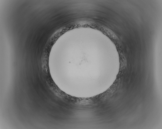 X0000111820824200908201129